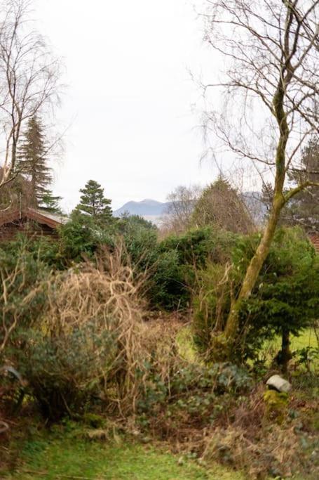 Cozy Norwegian Style Log Cabin In Rural Snowdonia - 2 Bedrooms & Parking By Seren Short Stays Ffestiniog Eksteriør bilde