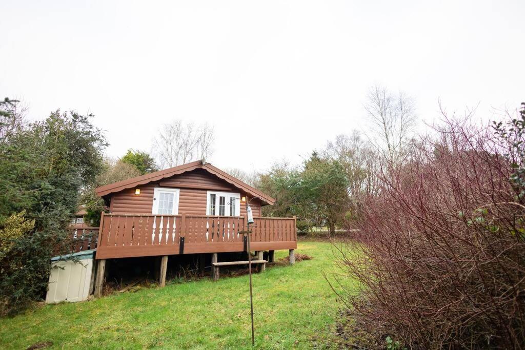 Cozy Norwegian Style Log Cabin In Rural Snowdonia - 2 Bedrooms & Parking By Seren Short Stays Ffestiniog Eksteriør bilde
